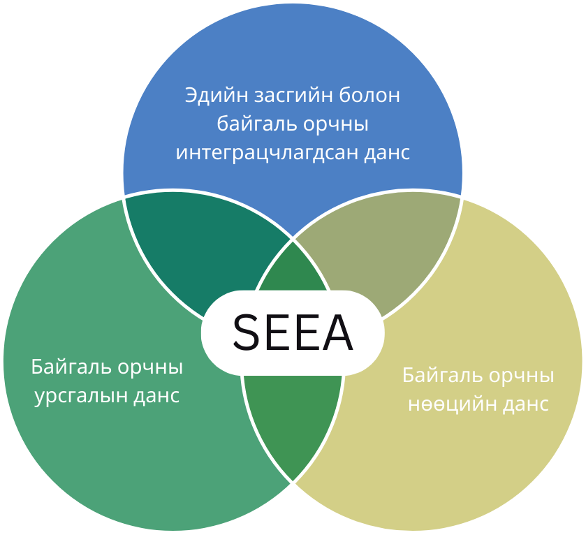 SEEA Framework